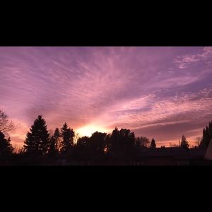 Meet your Posher, Daniela